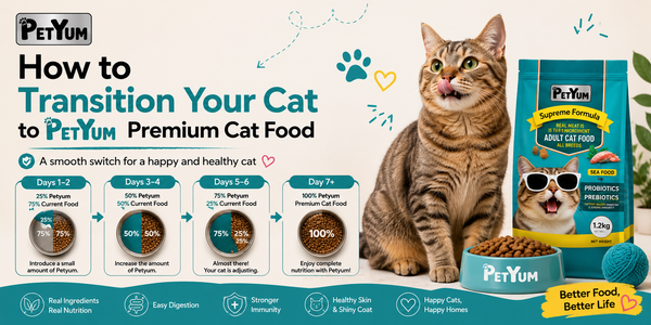 How to Transition Your Cat to Petyum Premium Cat Food