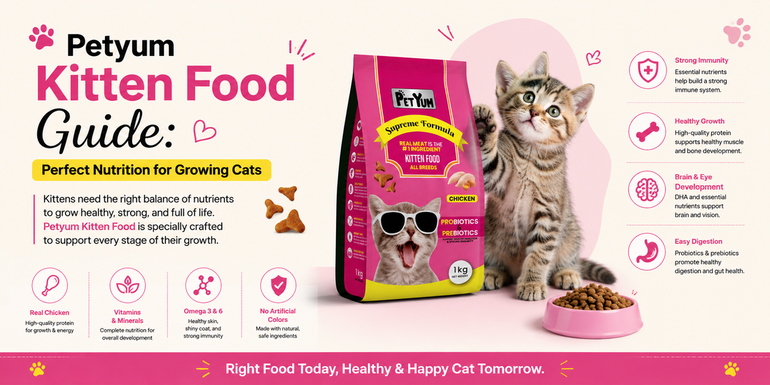 How PetWorld Improves Digestion, Coat & Energy