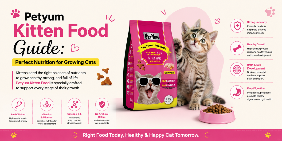 How PetWorld Improves Digestion, Coat & Energy