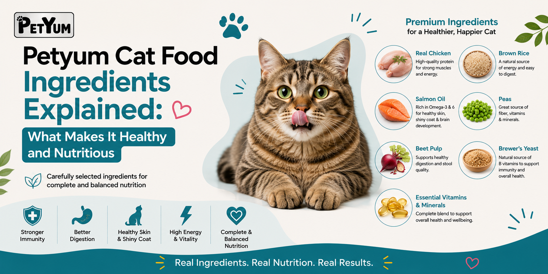 Petyum Cat Food Ingredients Explained: What Makes It Healthy and Nutritious