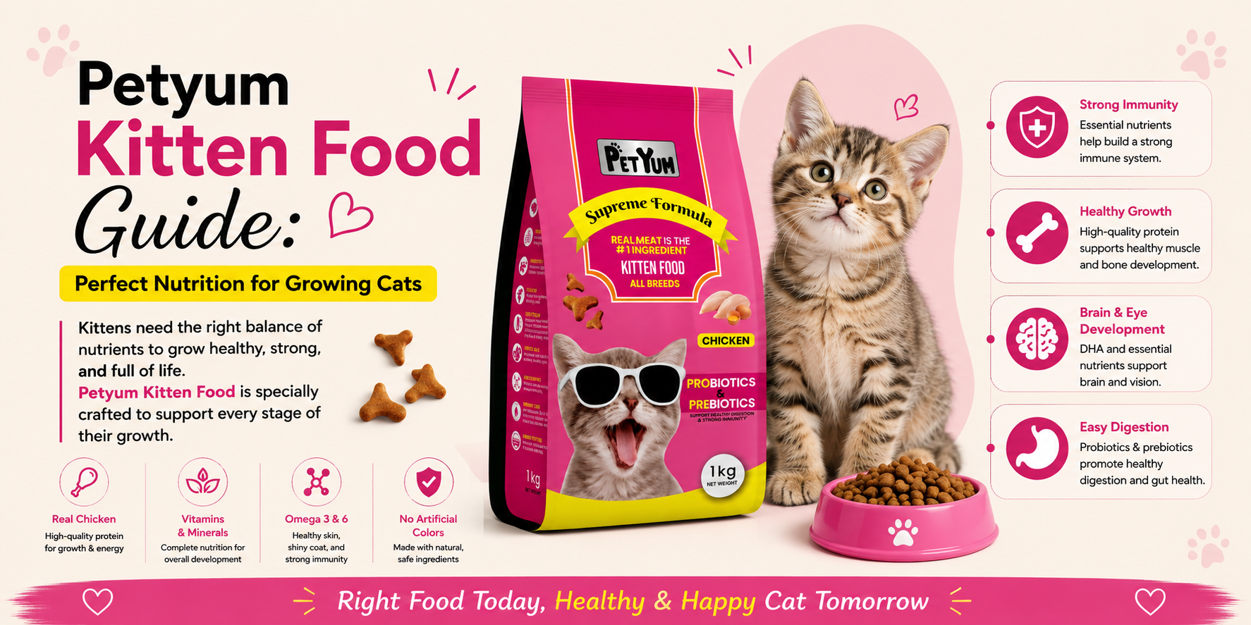 Petyum Kitten Food Guide: Perfect Nutrition for Growing Cats
