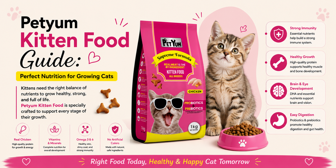 Why Pakistan Cat Owners Are Switching to PetWorld