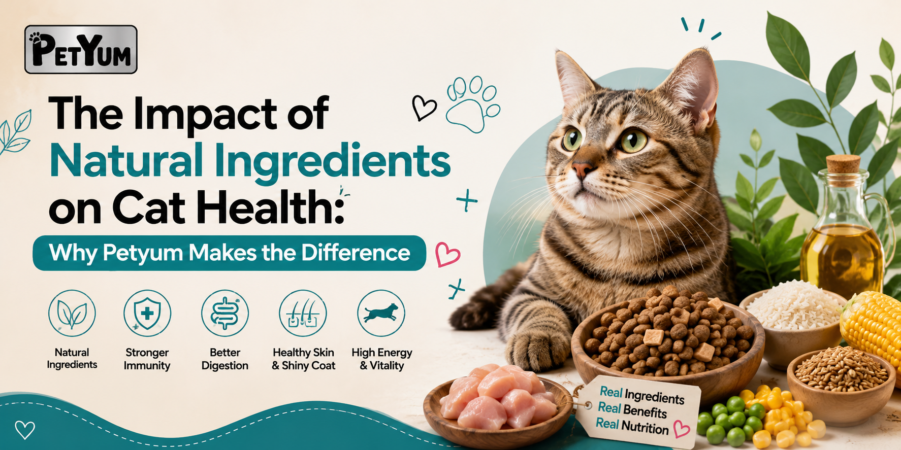 The Impact of Natural Ingredients on Cat Health: Why Petyum Makes the Difference