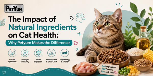 The Impact of Natural Ingredients on Cat Health: Why Petyum Makes the Difference