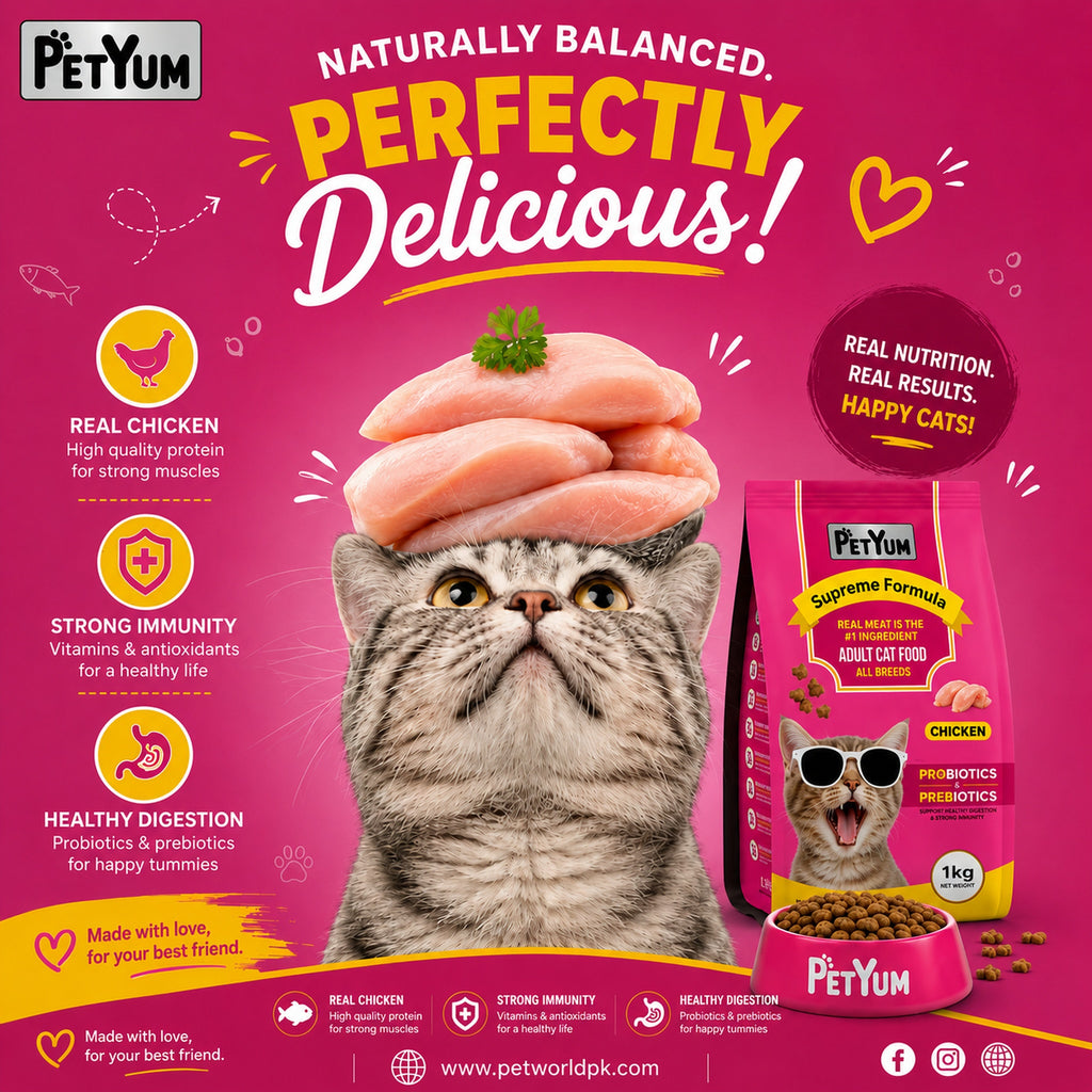 Petyum supreme Kitten cat food Chicken Flavour 1 KG