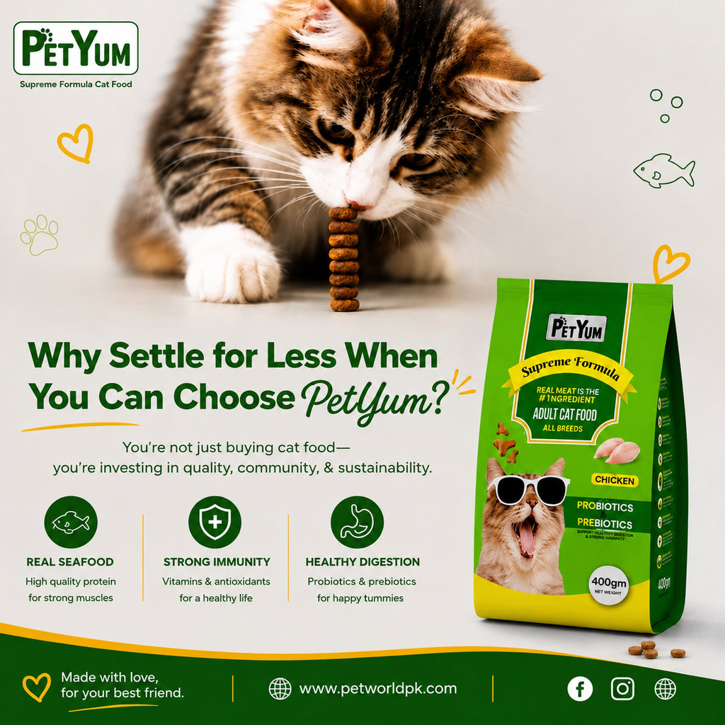 Petyum supreme Adult cat food Chicken Flavour 400G