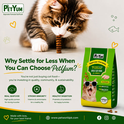 Petyum supreme Adult cat food Chicken Flavour 400G