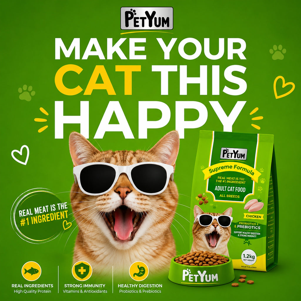 Petyum supreme Adult cat food  Chicken Flavour 1.2KG